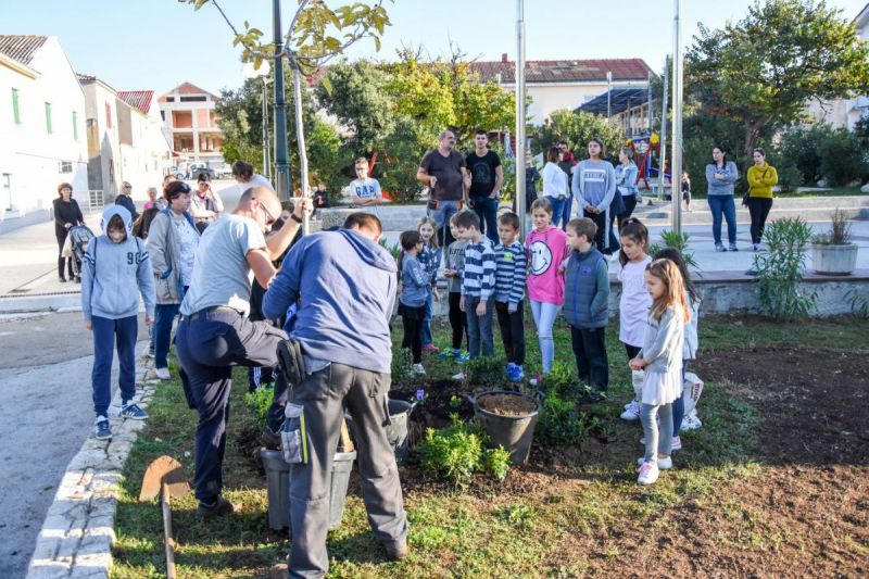 2019-10-25-09-13-46---0020