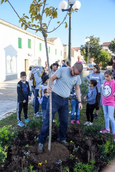 2019-10-25-09-15-48---0024